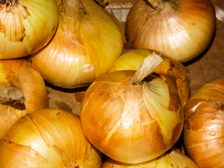 Healthy Onions Background Closeup Macroの写真素材