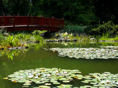 Croatia Zagreb Botanical Garden Photoの写真素材