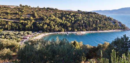 Olive Tree Seascape Wallpaper Backgroundの写真素材