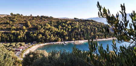 Olive Tree Seascape Wallpaper Background
