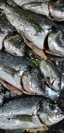 Fresh Fish On Tray Close Upの写真素材