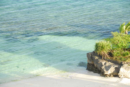exotic beachの写真素材