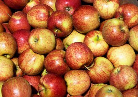 Background made of "Braeburn" Applesの写真素材