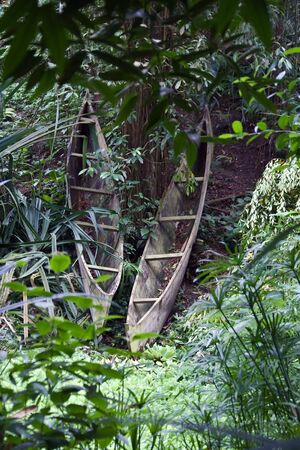 Pair of canoes in the forestの写真素材