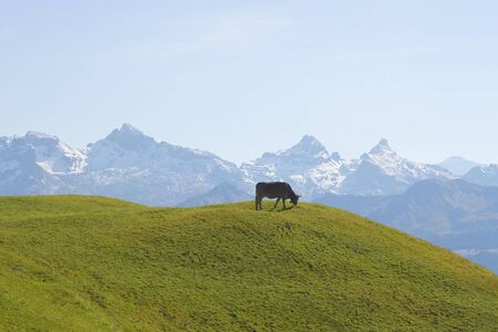 Typical swiss alpine landscape (Autumn 2008)の写真素材