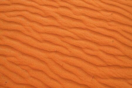 Red sand "Arabian desert" near Riyadh, Saudi Arabiaの写真素材
