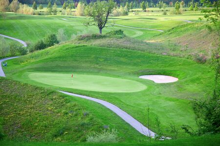 Golf on the green grassの写真素材