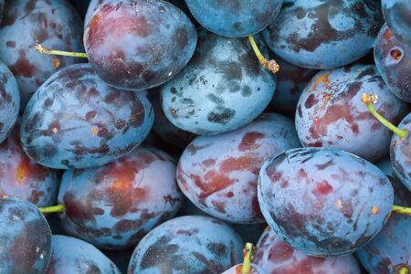 close up a group of plums の写真素材