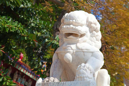 Marble lion protecting entrance to the templeの写真素材