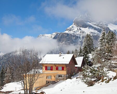 Typical swiss winter season landscape. January 2011, Switzerland.のeditorial素材
