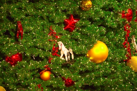 Fragment of the Christmas tree decorationの写真素材