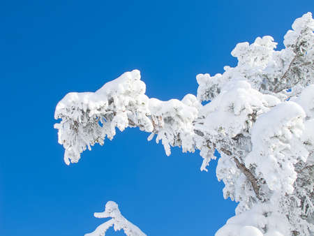 Winter in the swiss alps (Flumserberg, St.Gallen, Switzerland)の写真素材