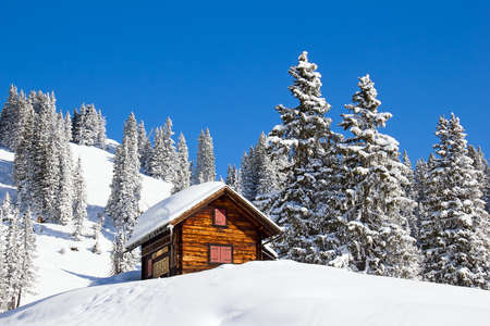 Winter in the swiss alps, Switzerlandのeditorial素材