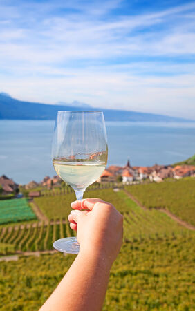 Vineyards of the Lavaux region over lake Leman (lake of Geneva)の写真素材