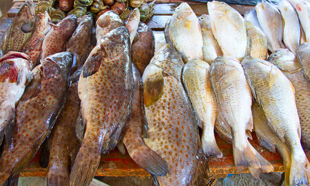 Fresh fish on the Maputo fish market