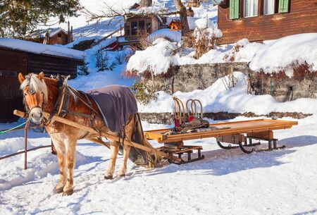 Winter in the swiss alps, Switzerlandの写真素材