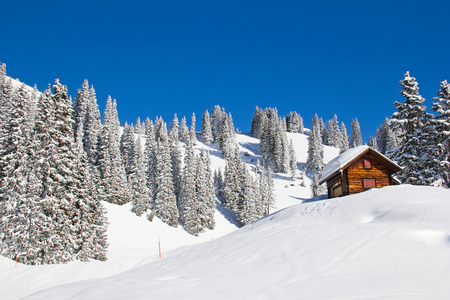 Winter in the swiss alps, Switzerlandのeditorial素材