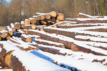 Stack of new wooden studs at the lumber yard