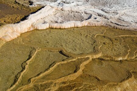 Mammoth hot springs in the Yellowstone National Park, Wyoming, USAの写真素材