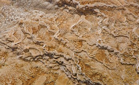 Mammoth hot springs in the Yellowstone National Park, Wyoming, USAの写真素材