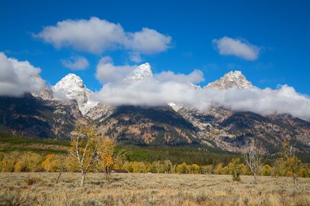 Grand Teton National Park, Wyoming, USAの写真素材