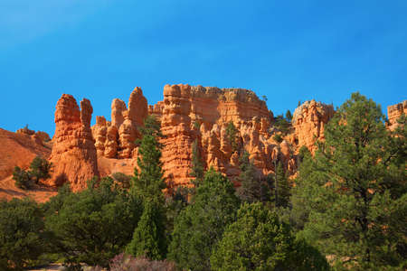 Bryce canyon national park in Utah, USAの写真素材
