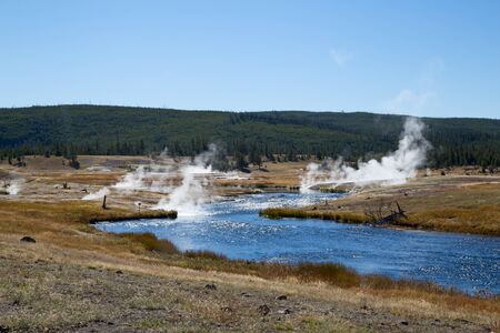 Lower geyser basin in the Yellowstone National park, USA
