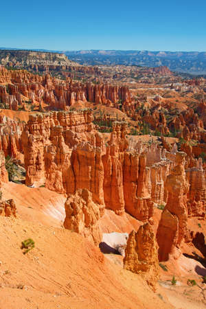 Bryce canyon national park in Utah, USAの写真素材