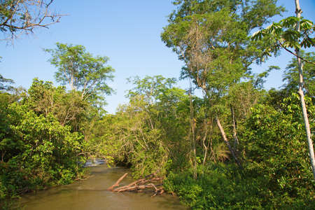 Jungles surrounding famous Iguazu falls on the border between Argentina and Brazil