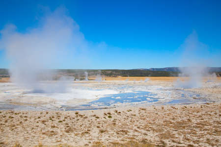 Lower geyser basin in the Yellowstone National park, USA