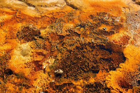 Black sands geyser basin in the Yellowstone National park, USA