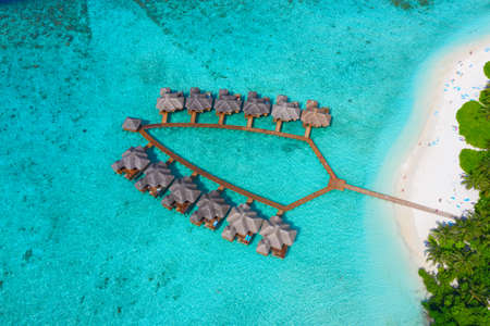 Small island in the Maldives covered by palms and surrounded by turquoise blue waters with with beautiful corals and animals, perfect escape from the cold winterのeditorial素材