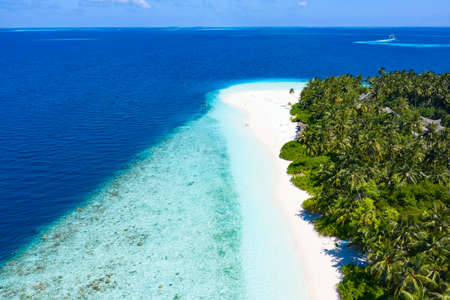 Small island in the Maldives covered by palms and surrounded by turquoise blue waters with with beautiful corals and animals, perfect escape from the cold winterの写真素材