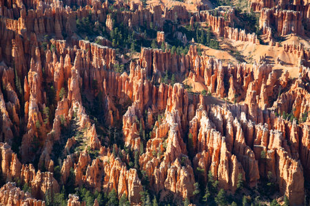 Bryce canyon national park in Utah, USAの写真素材