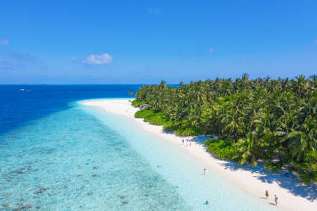 Small island in the Maldives covered by palms and surrounded by turquoise blue waters with with beautiful corals and animals, perfect escape from the cold winterのeditorial素材