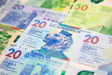 Collection of the Hong Kong banknotesの写真素材