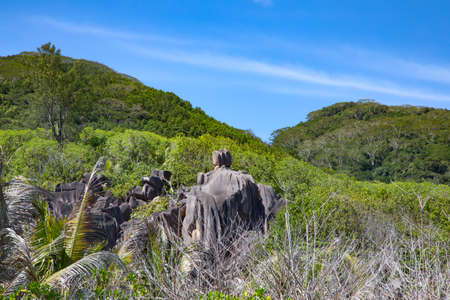 Famous Grand Anse beach on the La Digue island, Seychellesの写真素材