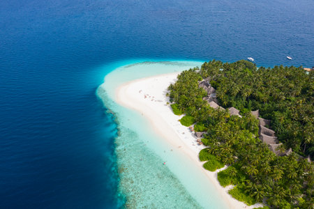Small island in the Maldives covered by palms and surrounded by turquoise blue waters with with beautiful corals and animals, perfect escape from the cold winterの写真素材
