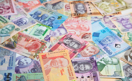 Variety of the African banknotesの写真素材