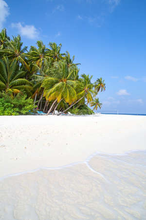 Maldivian island. Paradise in tropics.の写真素材