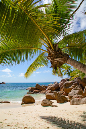 Famous Petite Anse Kerlan beach on the Praslin island, Seychellesの写真素材