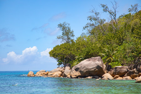 Famous Petite Anse Kerlan beach on the Praslin island, Seychellesの写真素材