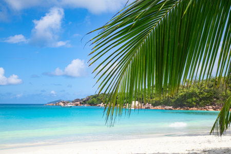Famous Anse Lazio beach on the Praslin island, Seychellesの写真素材