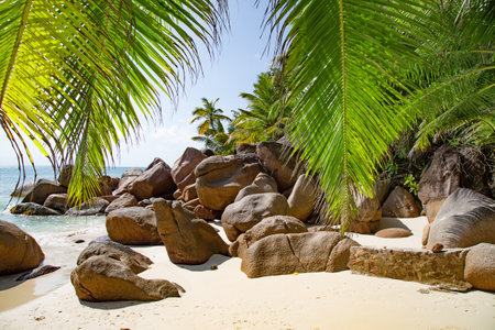 Famous Petite Anse Kerlan beach on the Praslin island, Seychellesの写真素材