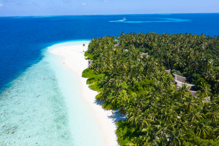 Maldivian island. Paradise in tropics.の写真素材