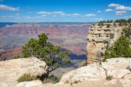 South Rim of the Grand Canyon. "Grand Canyon" National Park in Arizona, USAの写真素材