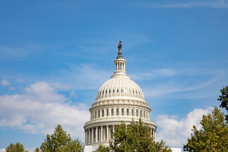 US Capitol in Washington DC (District of Columbia), United States of Americaの写真素材