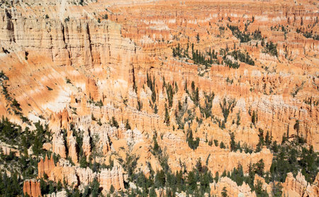 Bryce canyon national park in Utah, USAの写真素材