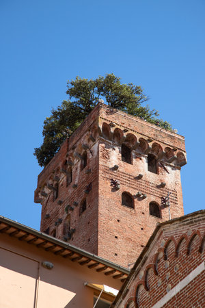 Historical medieval city Lucca in Tuscany, Italyの写真素材