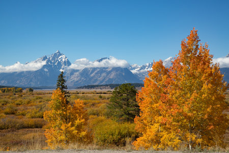 Grand Teton National Park, Wyoming, USAの写真素材